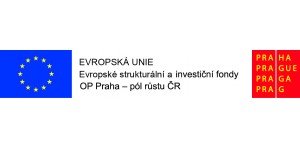 Evropský sociální fond